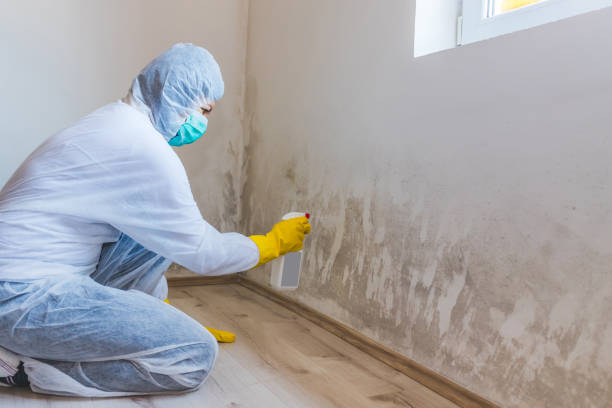Mold inspector in Elberon performing thermal imaging